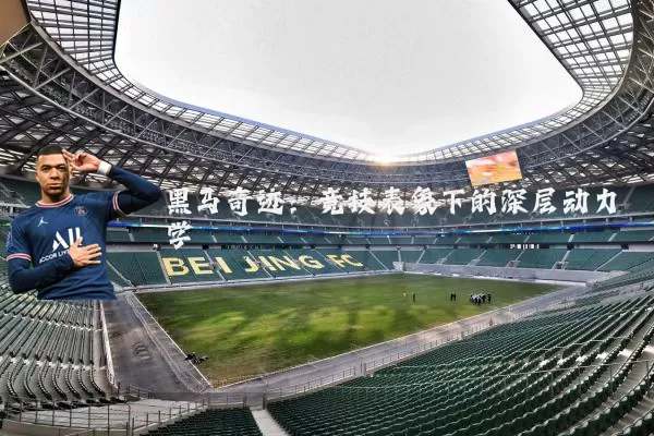 黑马奇迹:竞技表象下的深层动力学